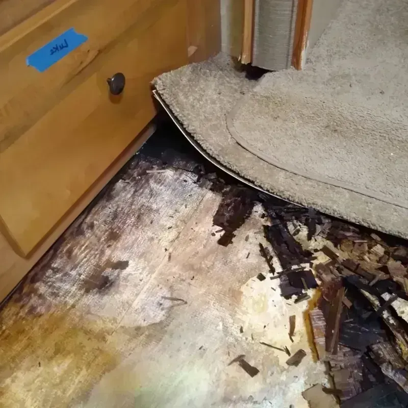 Wood Floor Water Damage in Fridley, MN